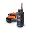 Dogtra 282C: Compact 2-Dog Training System for Small Dogs