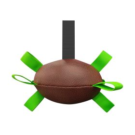 Interactive Water Rugby Ball for Dogs