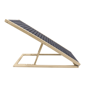 Dog Bed Ramp - Extra Wide and Non-Slip for Small Dogs