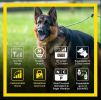 Dogtra ARC Handsfree Plus: Advanced Remote Training with Boost & Lock Technology