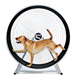 GoPet Large Dog Tread Wheel: Indoor/Outdoor Exercise Solution