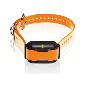 Expand Your Pack: Dogtra Edge RT Dog Training Collar System