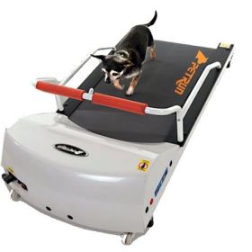 PetRun PR700 Treadmill: Safe & Quiet Exercise for Small Dogs