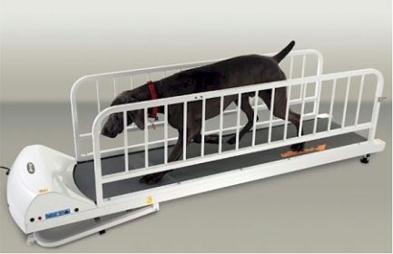 PetRun PR725 Treadmill: Incline Exercise for Active Dogs